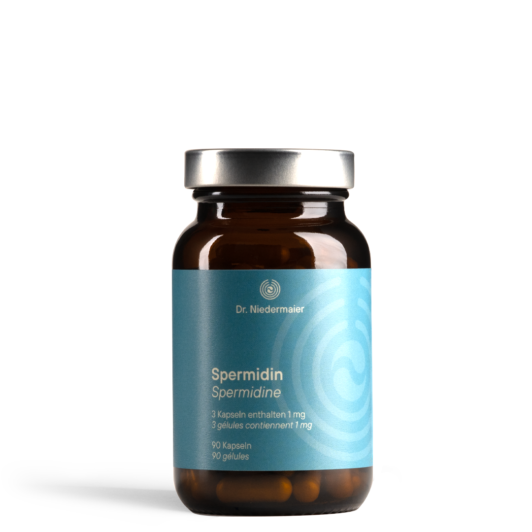 Spermidin Kapseln