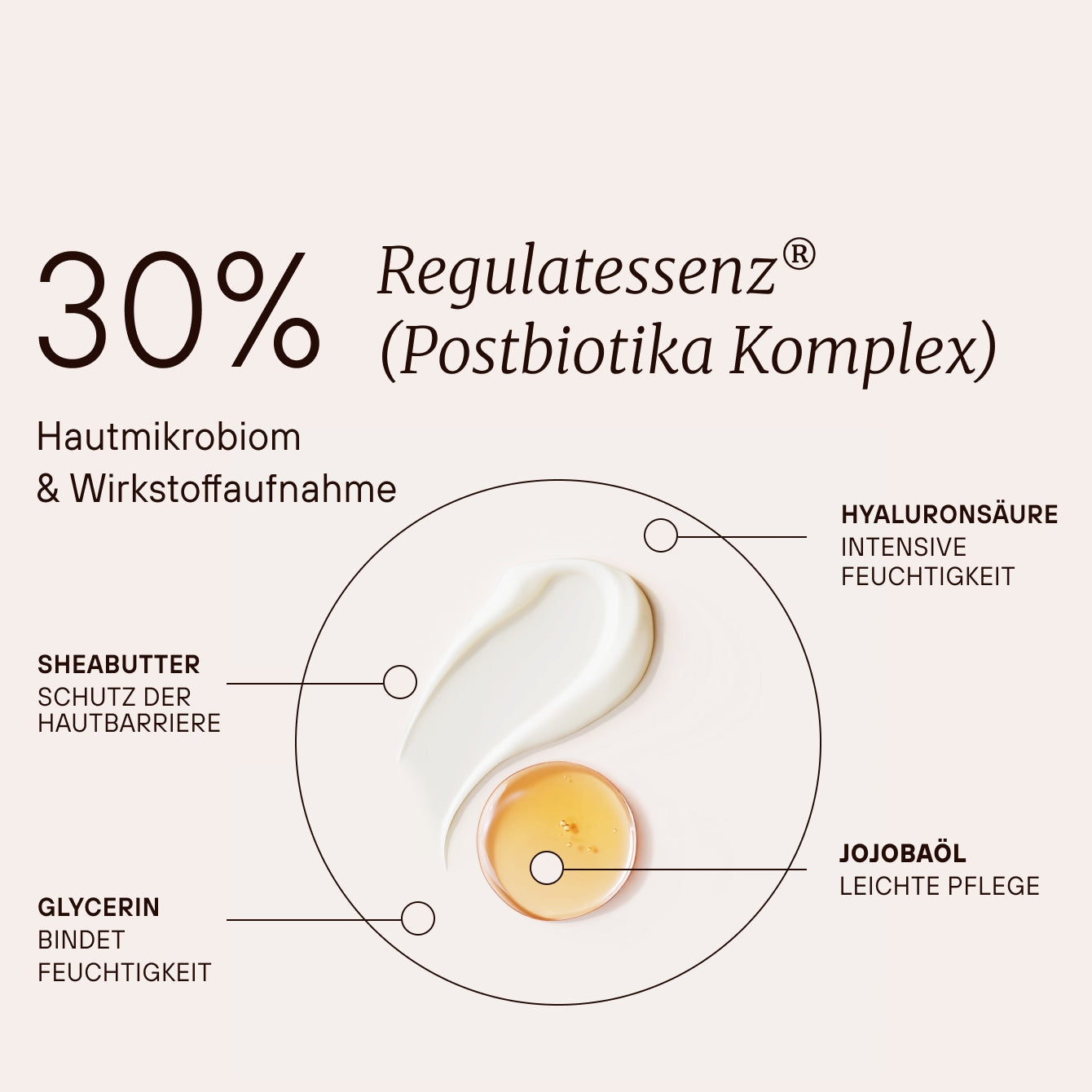 Regulat® Skin Energy Mousse