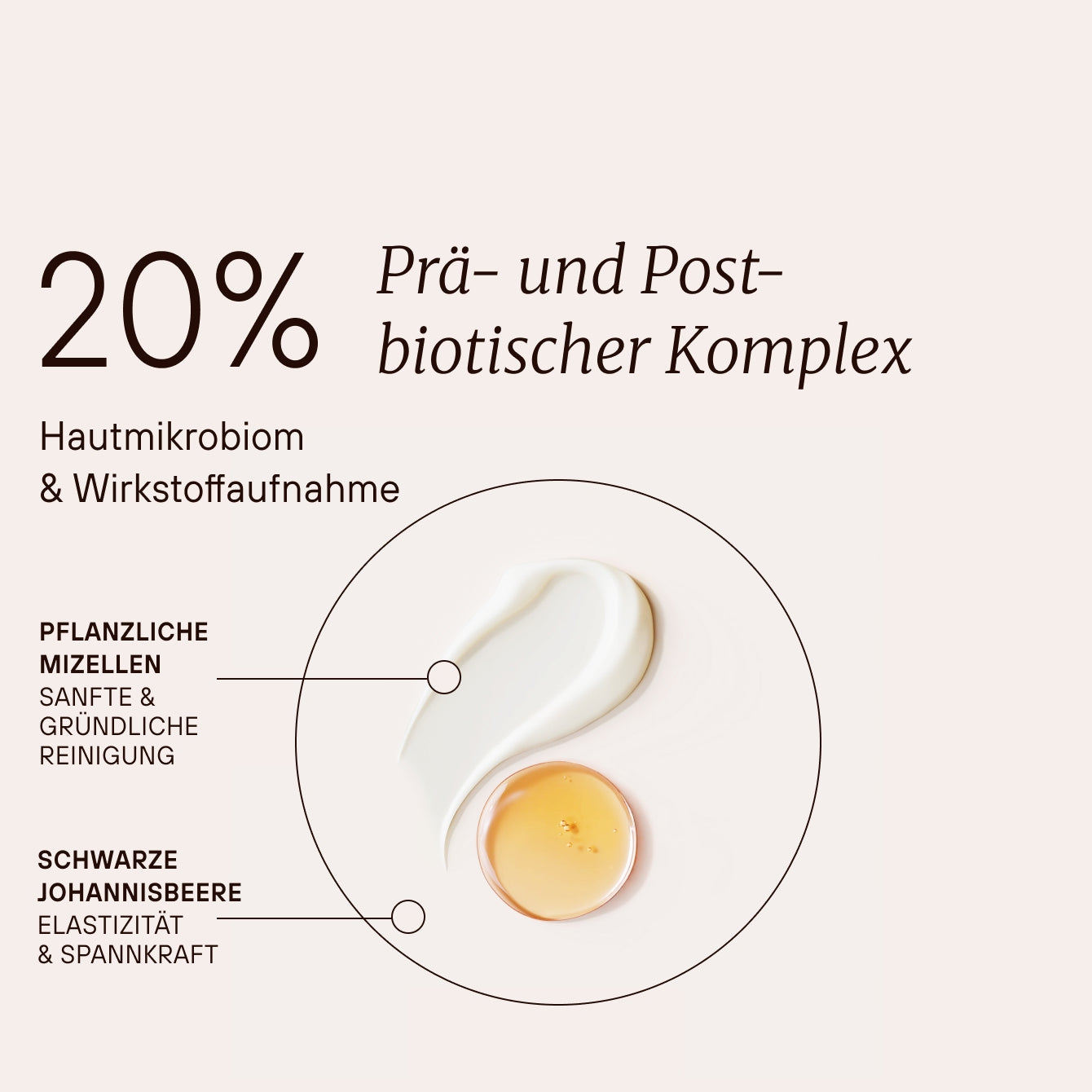 Fermented Gentle Cleansing Foam