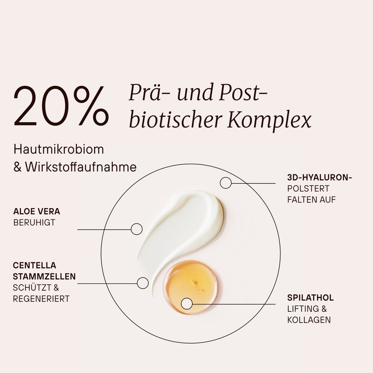 Fermented Lifting Serum mit 20 Prozent prä- und postbiotischem Komplex für Hautmikrobiom und Wirkstoffaufnahme