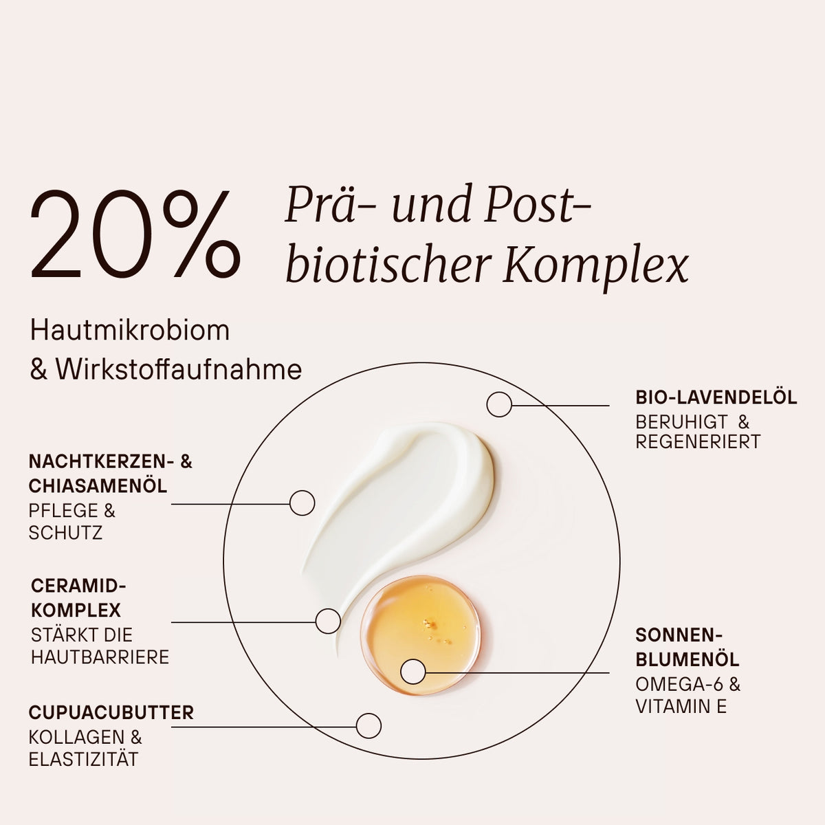 Fermented Repair Night Cream mit 20 Prozent prä- und postbiotischem Komplex für Hautmikrobiom und Wirkstoffaufnahme