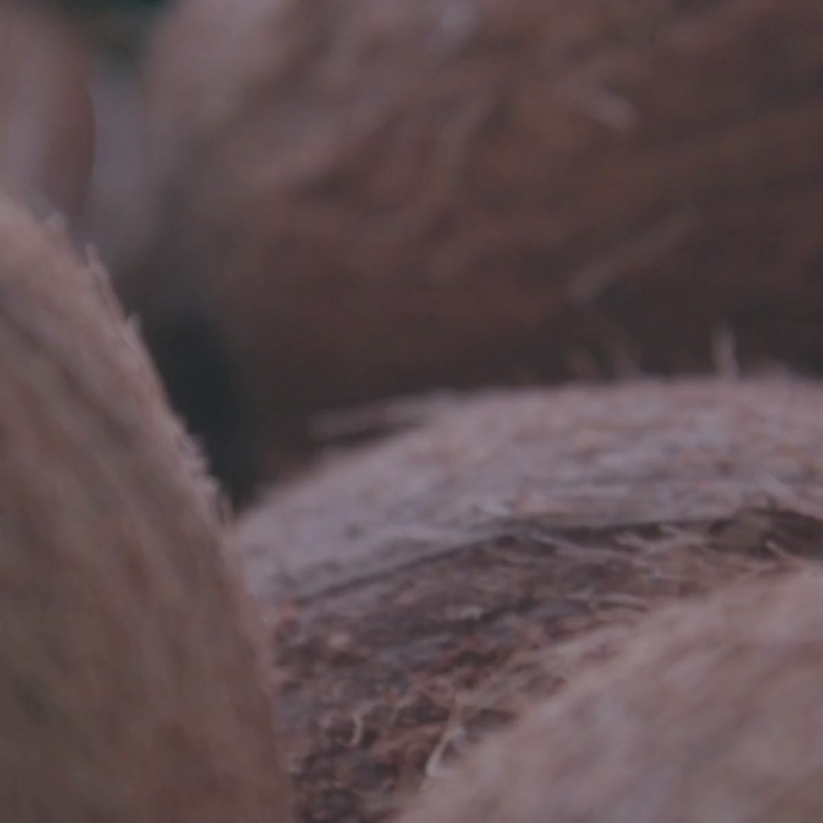 Video laden: 
